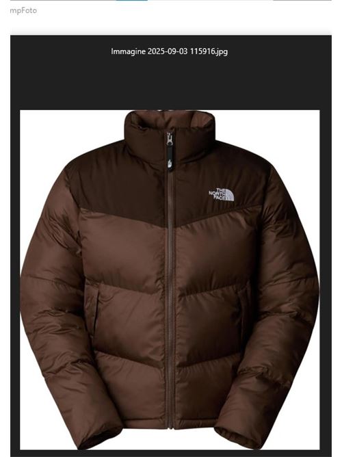 m saikuru jacket THE NORTH FACE | NF0A853I7O31.7O31